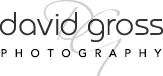 David Gross Photography