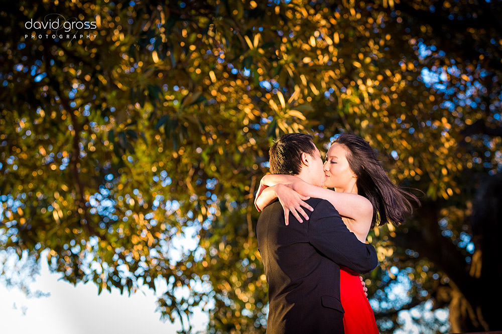 Wedding Photographer Sydney
